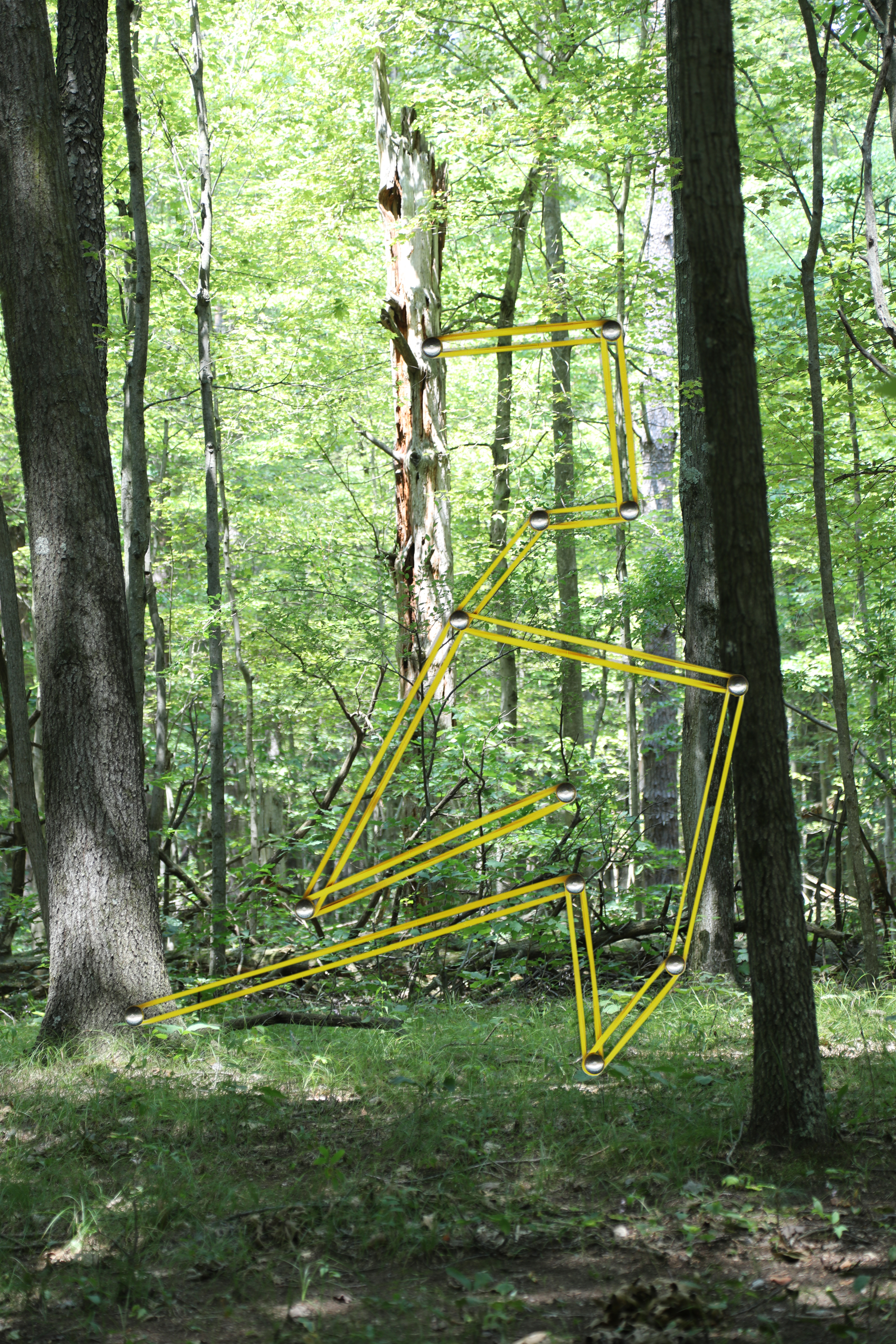 trail trail