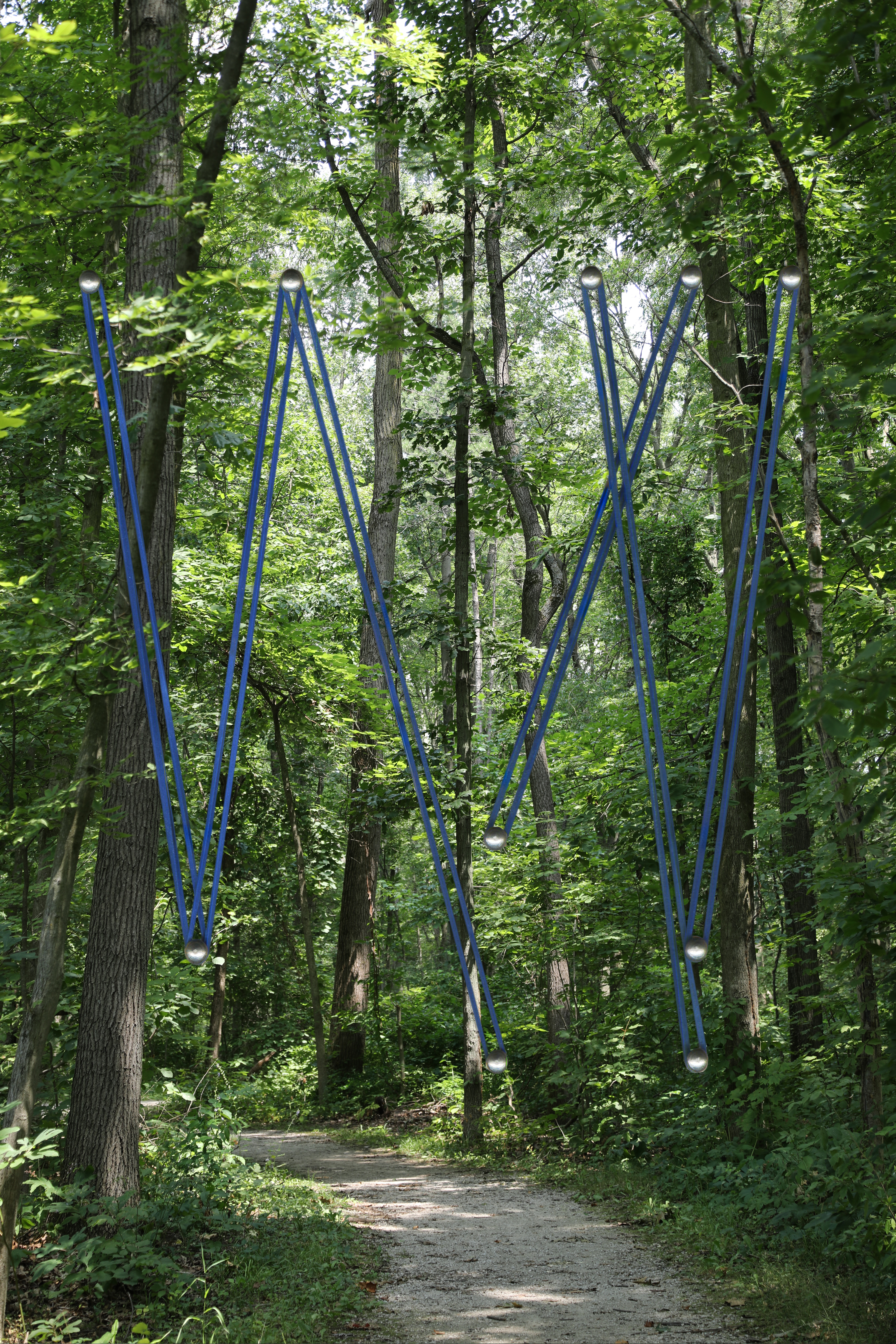 trail trail