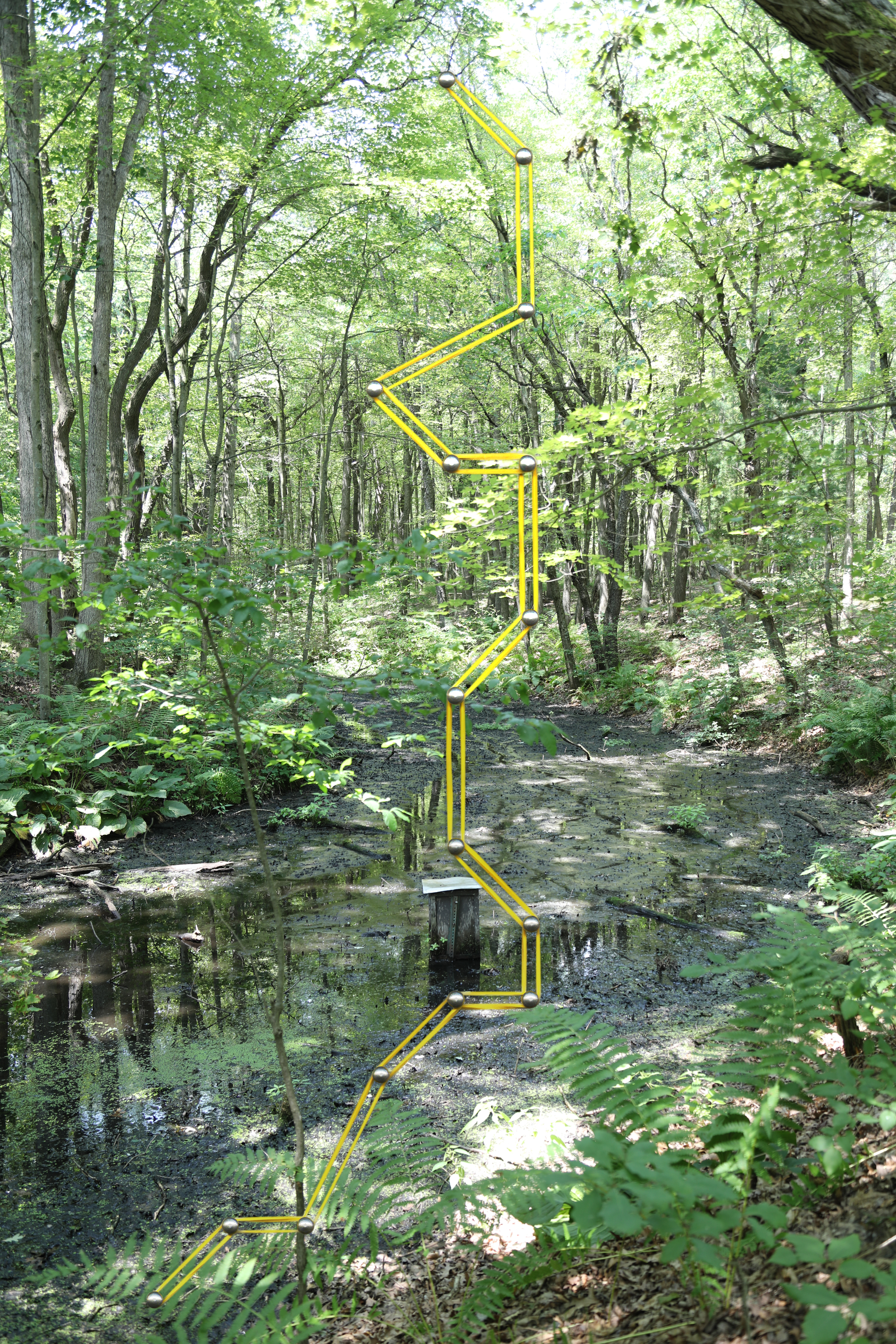 trail trail